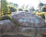 柿田川湧水公園