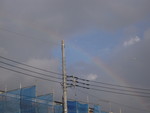 雨の後の虹