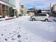 真っ白！