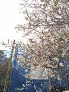 まだまだ楽しめます！