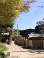 この日も良い天気！