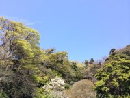 こちらも山と空！！