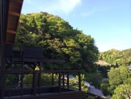 いつお伺いしても緑がキレイに見えるＳ様邸。